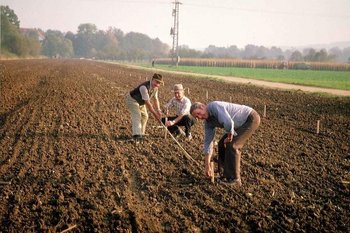 Foto von der Wiederanlage der Baille-Maille-Lindenallee