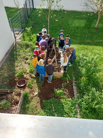 Foto von der Bepflanzung des Schulgartens