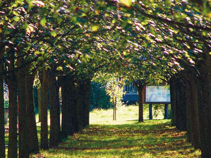 Baille-Maille-Allee